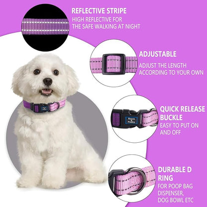 Roses&Poetry Lightpurple Large Dog Collar and Leash Set, Puppy Reflective Leashes with Collars, Adjustable Durable Matching Collar Leash for Large Dogs Girl (Lightpurple-L)