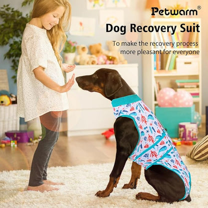 PetWarm Male Dog Recovery Suit for After Neuter Surgery, Recovery Suit for Dogs After Surgery, Cone E-Collar Alternative, Pet Surgical Recovery Suit, Underwater World Pattern, Blue, S