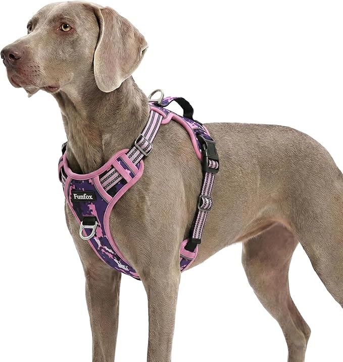 Funfox Dog Harness No Pull, Adjustable Pet Vest Harness, Super Soft Material with Vertical Handle Easy Control, Reflective Night Walking, 2 Leash Clips for XLarge Dogs, Mosaic Pink, XL