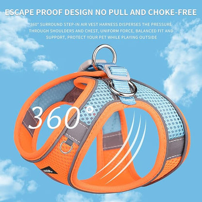 AIITLE Comfortable Dog Harness and Leash Set for Walking - Step in Vest Harness,Reflective Bands, Adjustable No Pull Puppy Essentials, for Small Dogs and House Cats Orange XS