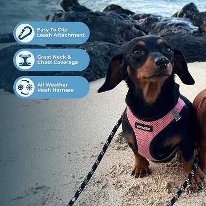 Best Pet Supplies - All Weather Mesh / Plush, Reflective, No Pull Harness for Small, Medium Dogs, Cats - Secure with Hook & Loop Fastener, Buckle, Double D-Rings - Pink/Black Trim, XL
