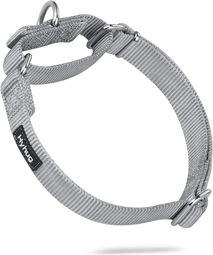 Hyhug Martingale Dog Collar Medium Gray |Escape - Proof Heavy Duty Nylon Durable No Slip, Ideal for Training & Daily Walks