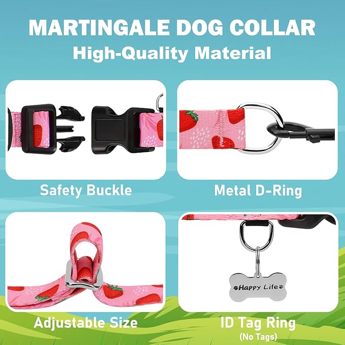 Martingale Collar for Dogs with Buckle Nylon Limited Slip No Pull Training Dog Collars (Pink Strawberry, XLarge)
