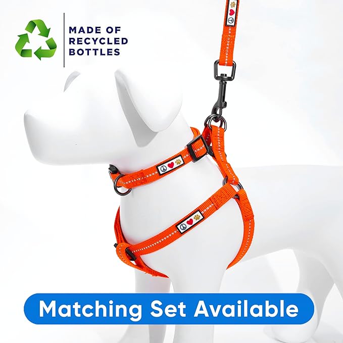 Pawtitas Orange Dog Leash 6 ft XS/S Reflective Durable Lightweight Recycled Lead for Small Dogs and Puppies
