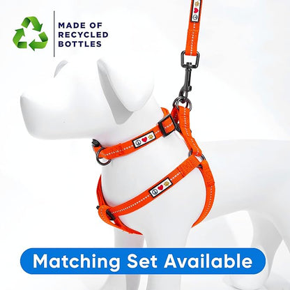 Pawtitas Orange Dog Leash 6 ft XS/S Reflective Durable Lightweight Recycled Lead for Small Dogs and Puppies