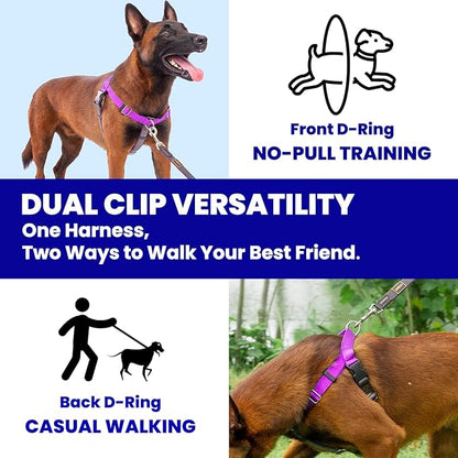 Freedom No Pull Dog Harness, Designed for Hound Dog Train, Easy Walk with 2 Stainless D-Rings, Sewn-in Instructions Tags for Easy Use, for Large Dogs Weight 60-80 lbs (Purple, L)