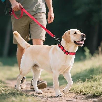 Joytale Reflective Dog Collar,Soft Neoprene Padded Breathable Nylon Pet Collar Adjustable for Large Dogs,Red,L