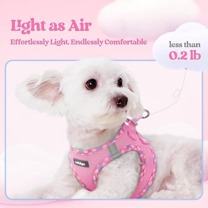 rabbitgoo Dog Harness Small Sized and Leash Set, Step in Soft Light Puppy Vest, Breathable Mesh Pet Harness, Reflective for Safe Easy Walking, Pink & Plaid Trim XS