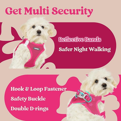 rabbitgoo Small Dog Harness, Step-in Soft Mesh Puppy Vest with Safety Buckle, Breathable Reflective Pet Harness for Small Sized Dogs, Rose Red S