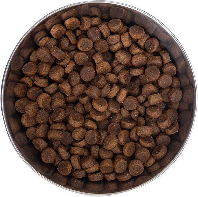 Health Extension Large Bites Chicken & Brown Rice Dry Dog Food, Protein-Rich Formula with Probiotics & Essential Nutrients for Large Breeds (30 lb)