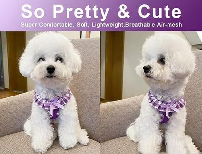 SuperBuddy Upgraded Soft Mesh Dog Harness, Super Breathable Lightweight Pet Harnesses for Puppy Dogs Outdoor Walking, Purple Dog Harness -Medium