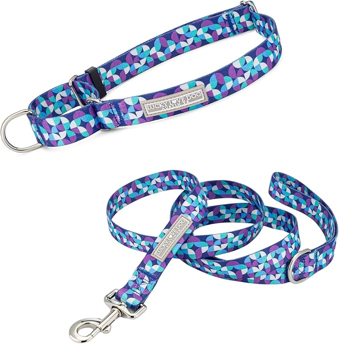 Lucky Love Dog Martingale Dog Collar & Leash - Adjustable, No-Slip, Durable, Comfortable, Soft Webbing, & Stylish Patterned Collar & Leash Set for Male and Female Dogs - Jasper Combo, Small