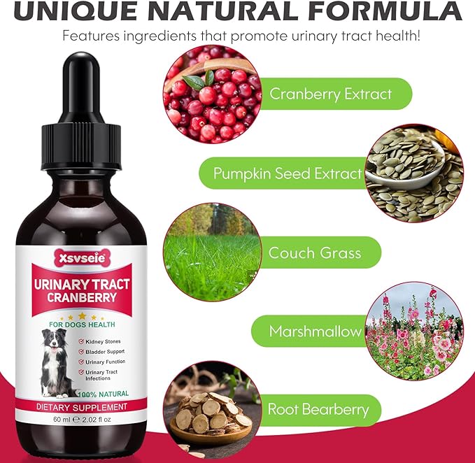 Dog UTI Treatment, Xsvseie Urinary Tract Drops for Dogs Natural Urinary Tract Infection Treatment Drops Natural Herbal Supplement with Cranberry Bladder Health for Dogs All Breeds