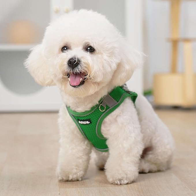 AIITLE Escape Proof Dog Harness - Step in Adjustable Dog Harness No Choke Over with Breathable Mesh and Quick-Release Buckle for All Weather- Outdoor Walking, Training for Medium Dogs Green XL