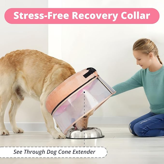 Inflatable Dog Cone with Transparent Shield, Protective Dog Donut Collar After Surgery to Stop Licking, Soft Donut Cone for Extra Large Pets, Adjustable Recovery Collar with Buckle Visibility