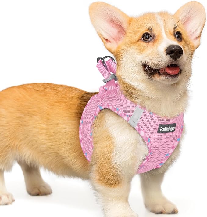 rabbitgoo Small Dog Harness, Step-in Soft Mesh Puppy Vest with Safety Buckle, Breathable Reflective Pet Harness for Small Medium Dogs, Pink & Plaid Trim L
