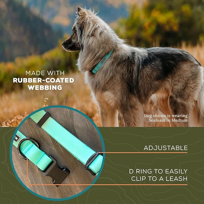 Wilderdog Waterproof Dog Collar - Repels Water & Dirt - Small 11"-15" - Seafoam