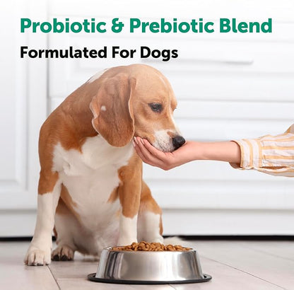 Micro Ingredients Probiotics for Dogs, 240 Soft Chews | Daily Digestive Health Probiotic Chews for Dogs with Prebiotics & Enzymes | Supports Gut Flora & Immune Function* | Non-GMO, Duck Flavor