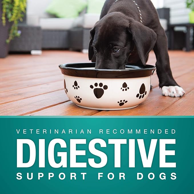 VetIQ Digestive Supplement for Dogs, Intestinal Balance Support Soft Chews, 90 Count