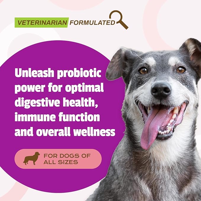 Pet Naturals Daily Probiotic for Dogs,Duck Flavor,160 Chews - 120M CFUs Pre and Probiotics for Dogs Digestive Health,Gut Health,Immune Support,Diarrhea,Allergies and Itching,(Pack of 2)