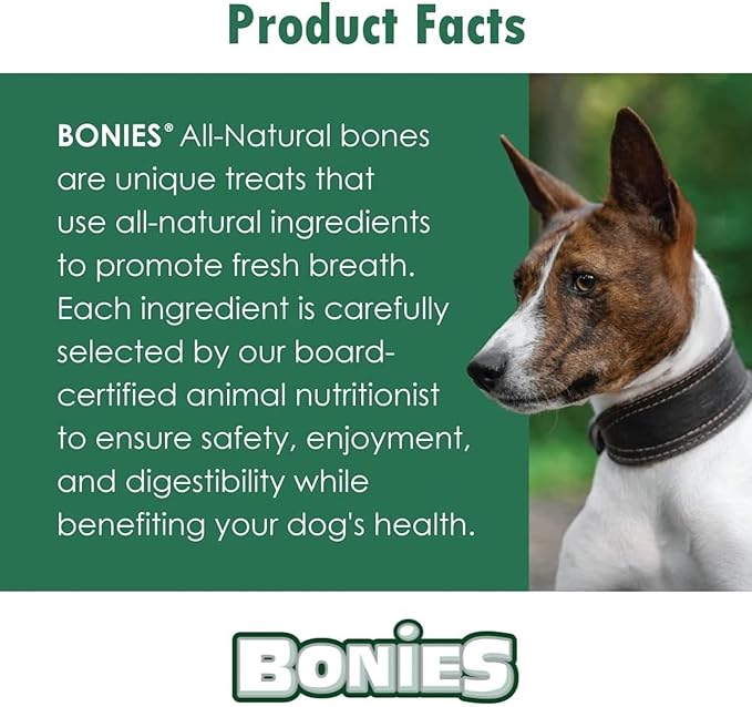 Bonies Natural Skin & Coat Formula Large-Sized Single Bone - Promote Silky Coat & Healthy Skin, Healthy Teeth & Fresh Breath, Low Calories - Chicken Flavor, [Large Dogs], 5 Bones