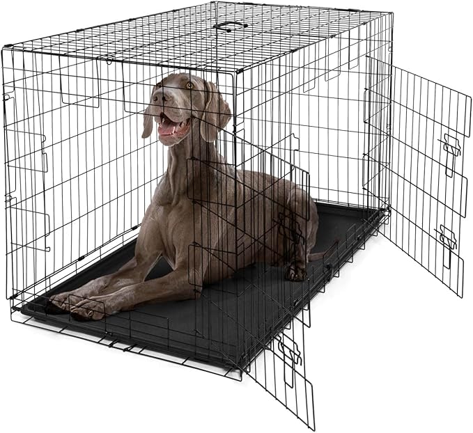 BOWHAUS Dog Crate, Metal Wire Kennel w/Divider Panel, Leak-Proof Pan, 48’’, Double Door, Large Dog Crate Indoor, Foldable & Portable