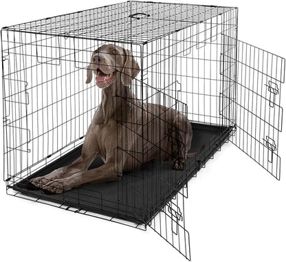 BOWHAUS Dog Crate, Metal Wire Kennel w/Divider Panel, Leak-Proof Pan, 48’’, Double Door, Large Dog Crate Indoor, Foldable & Portable