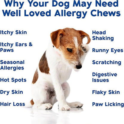 Well Loved Dog Allergy Chews - Dog Allergy Relief, Itching Skin Relief, Hot Spot Treatment & Seasonal Allergies, Vet Developed, Anti Itch Skin Irritation Treatment, Made in USA, 120 Chews
