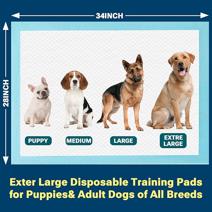 Clean Spaces Extra Large Puppy Pads 28"x34",Super Absorbent Disposable Pee Pads for Dogs / Wee Wee Pads / Potty Training Pads, Incontinence Bed Underpads for Adults, 100 Count