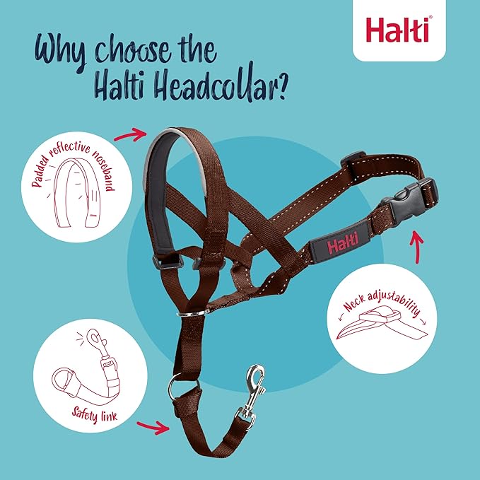 Halti Headcollar - Stop Your Dog Pulling on The Leash. Adjustable, Reflective and Lightweight, with Padded Nose Band. Dog Training Anti-Pull Collar for Small Dogs (Size 1, Deep Walnut)