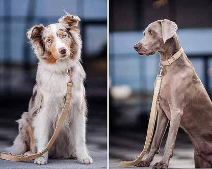 Soft Leather Dog Collar and Leash (6.6') Set - Stylish Rose Gold Heavy Duty Metal Buckle, 4 Adjustable Lengths Leash for Small Medium Large Dogs - Comfortable & Easy to Clean Beige XS(8"-12")