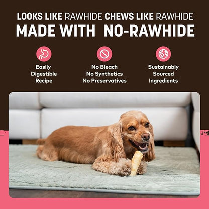Earth Animal No Hide Chews - Long Lasting Rawhide Free Small Dog Chews Rolls, Salmon - 2 Count
