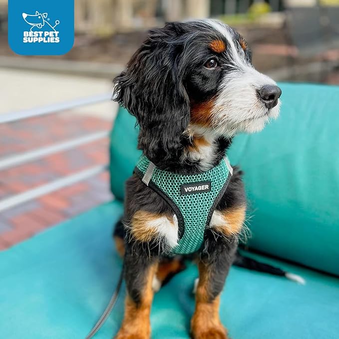 Best Pet Supplies - All Weather Mesh/Plush, Reflective, No Pull Harness for Small, Medium Dogs, Cats - Secure with Hook & Loop Fastener, Buckle, Double D-Rings - Turquoise 2-Tone, S