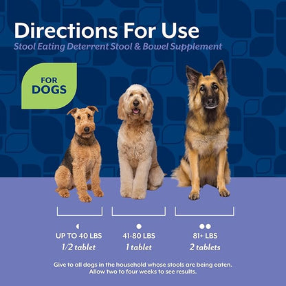 NaturVet – Coprophagia Stool Eating Deterrent Plus Breath Aid | Deters Dogs from Consuming Stool | Enhanced with Breath Freshener, Enzymes & Probiotics | 60 Chewable Tablets