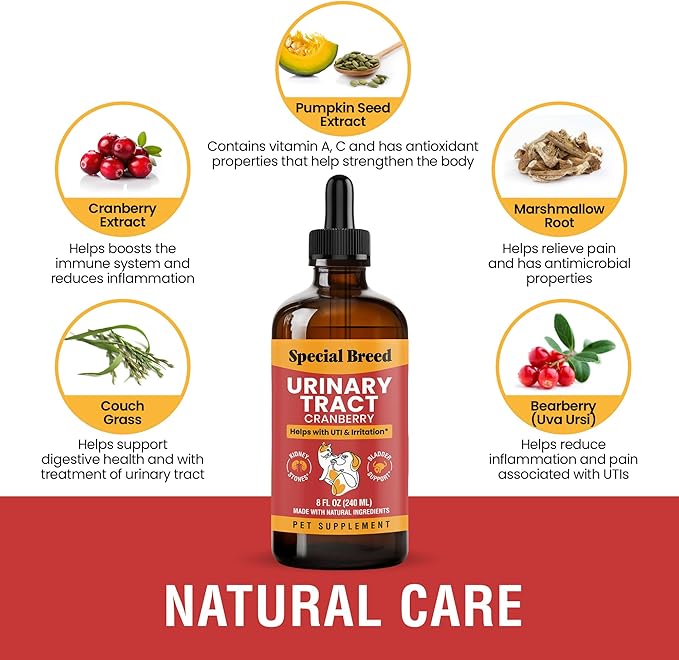 Cat & Dog Urinary Tract Infection Treatment – Natural UTI Relief with Cranberry Drops – Kidney & Bladder Support – Helps Incontinence, Frequent Urination, Bladder Stones – Pet Renal Care Drops
