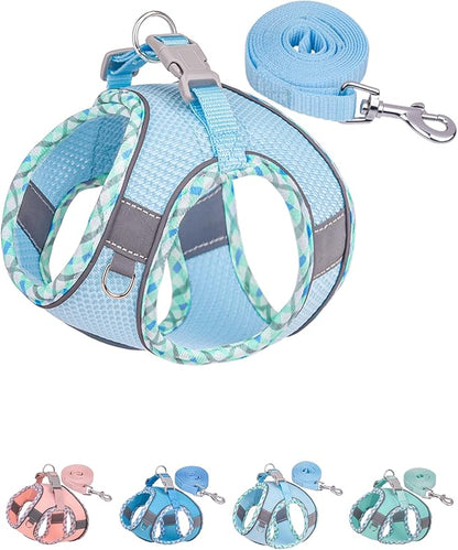 Petank Dog Harness for Small Medium Dogs No Pull, Puppy Harness and Leash Set, Step in Dog Harness for Walking, Running, Training, Small Dog Vest(Light Blue, S)