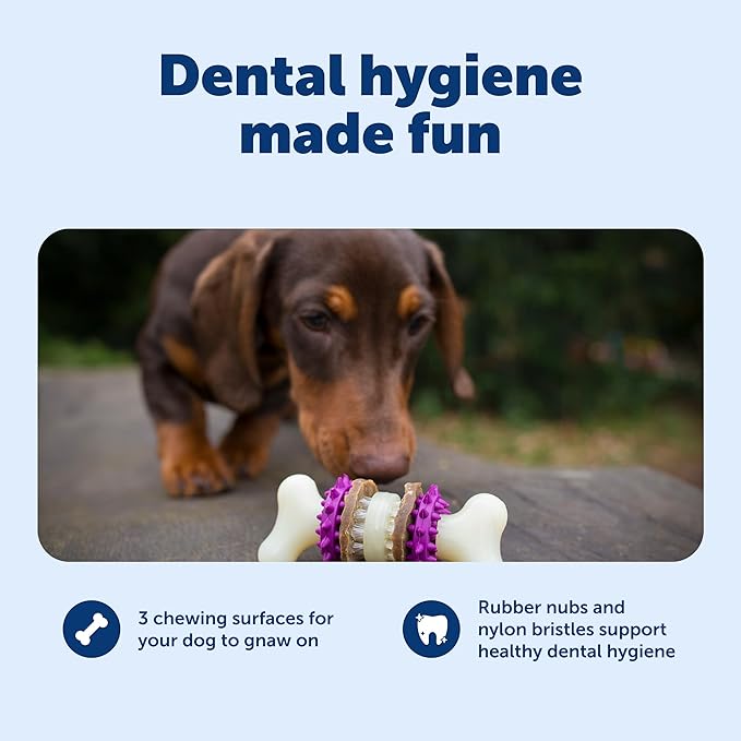 PetSafe Busy Buddy Bristle Bone - Chew Toy for Dental Health Support - Durable Dog Plaything for Tough Chewers - Includes 4 Refillable Treat Rings - Safe Chew Toy for Large Dogs (50-90 lbs)