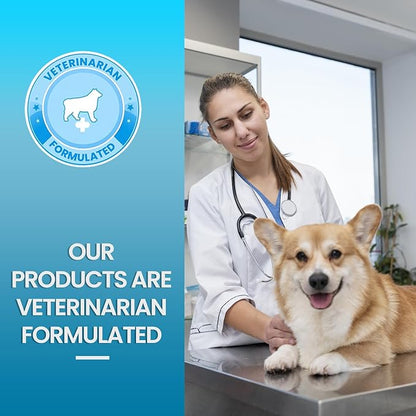 Replenish Urinary Tract Chews for Dogs - Cranberry Extract Chews - Dog UTI Treatment - Immune System Boost - Dog Urinary Health Chews for Senior Dogs - Bladder Support Chews - 60 Counts