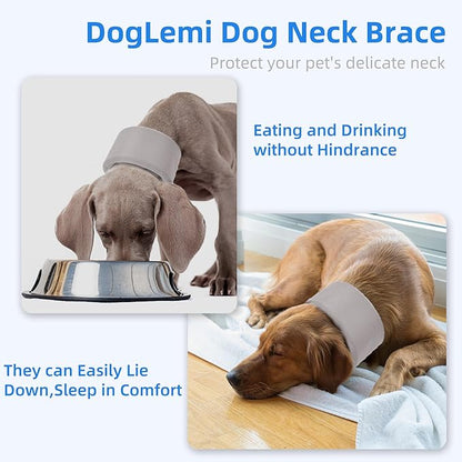 Dog Neck Brace for Pet After Surgery Recovery Adjustable Breathable Neck Cervical Cone，Dog Cone Collar Recovery Head Cone for Small Medium Dogs Puppies Kittens with Spinal IVDD Lssues (Gray,L)