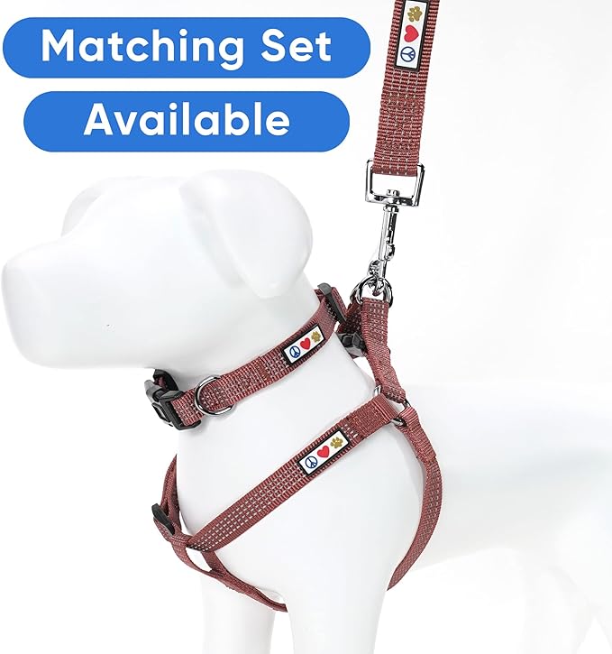 Pawtitas Marsala Brown Dog Leash 6 ft XS/S Reflective Durable Lightweight Dog Lead for Small Dogs and Puppies