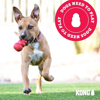 KONG - Wild Knots Bear - Internal Knotted Ropes and Minimal Stuffing for Less Mess - for Small/Medium Dogs (Assorted Colors)