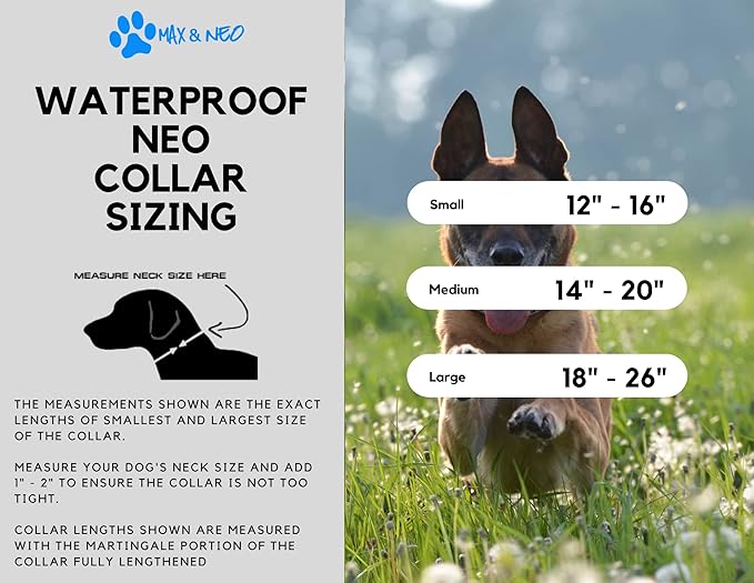 Max and Neo Waterproof Collar - Donates to Dog Rescue for Each Sold (Small, Black)