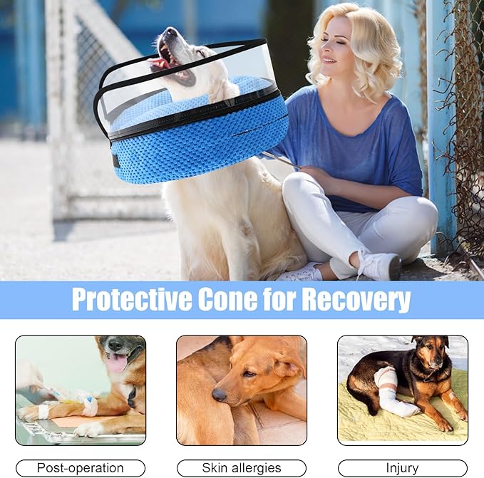 2-in-1 Soft Inflatable Dog Cone Collar Alternative with Enhanced Anti-Licking Guard Shield, Dog Collar After Surgery, Adjustable Recovery Cones for Large Medium Small Dogs and Cats (Blue,M)