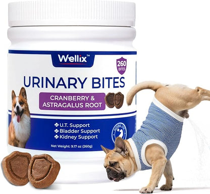 260 Bites Wellix Urinary Bites for Dog UTI Treatment - Cranberry Supplement with D-Mannose Marshmallow Root for Dogs Urinary Tract & Kidney Bladder Support - Chicken Flavor