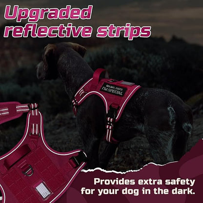 rabbitgoo Tactical Dog Harness Medium Sized Dog, No Pull Military Service Vest with Handle & Molle, Easy Control for Training Walking, Adjustable Reflective Straps, Rose Red, M