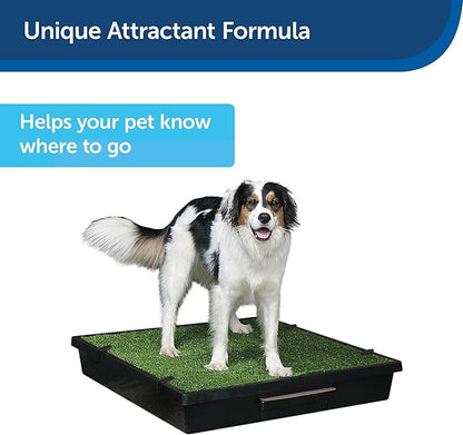 PetSafe Skip to My Loo House Training Scent - Encourages Consistent Potty Habits - Scientifically Formulated Solution - Unique Attractant Formula - Eco-Friendly Formula - 4.22 oz