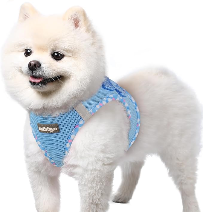 rabbitgoo Small Dog Harness, Step-in Soft Mesh Puppy Vest with Safety Buckle, Breathable Reflective Pet Harness for Small Sized Dogs, Blue & Plaid Trim S