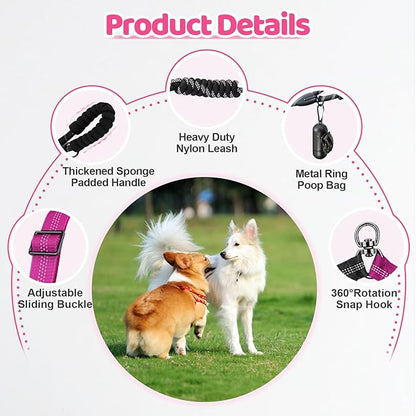 Double Dog Leash - 360°Swivel Tangle Free Splitter Attachment, 1 Rope with Handle, 2 Dogs Multi-Functional Leash, for Outdoor Walk Train Small Medium Large Two Pet, Fuchsia