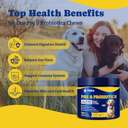 Probiotics for Dogs - Dog Probiotics for Digestive Health, Yeast, Itchy Skin, Gut Health, Immune & Skin - 6 Billion CFUs, 70 Soft Chews, Duck & Pear Flavor - with Prebiotics & Digestive Enzymes