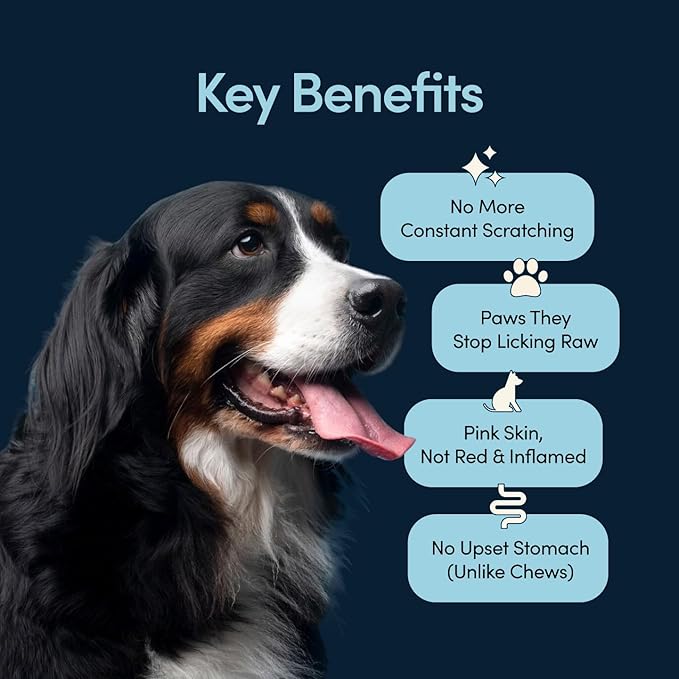 Scratch Buddy Dog Allergy Relief Powder with Colostrum, Spirulina & Turkey Tail Mushroom - Natural Itch Relief for Dogs - Anti Itch Supplement for Seasonal Allergies, Skin Health & Paw Licking - Bacon
